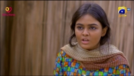 Guddu - Episode 56 - 12th Oct 2022